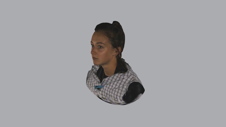 RHNDP250 3D Model