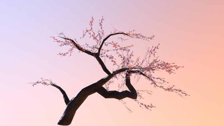 Cherry Tree 3D Model
