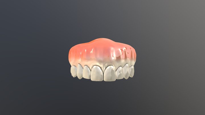Upper jaw human mouth 3D Model