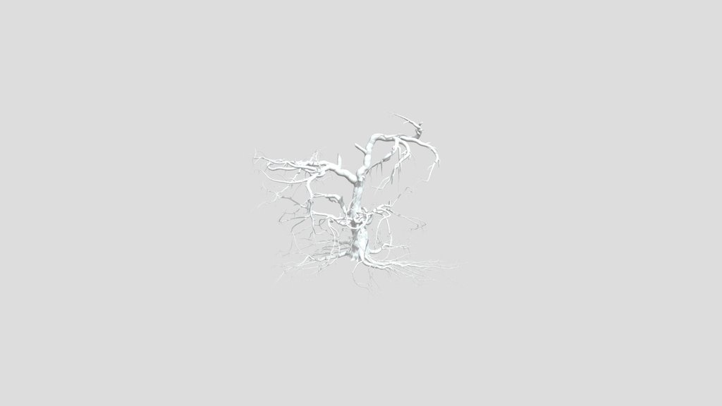 Sj Tree Model With Dead Branches