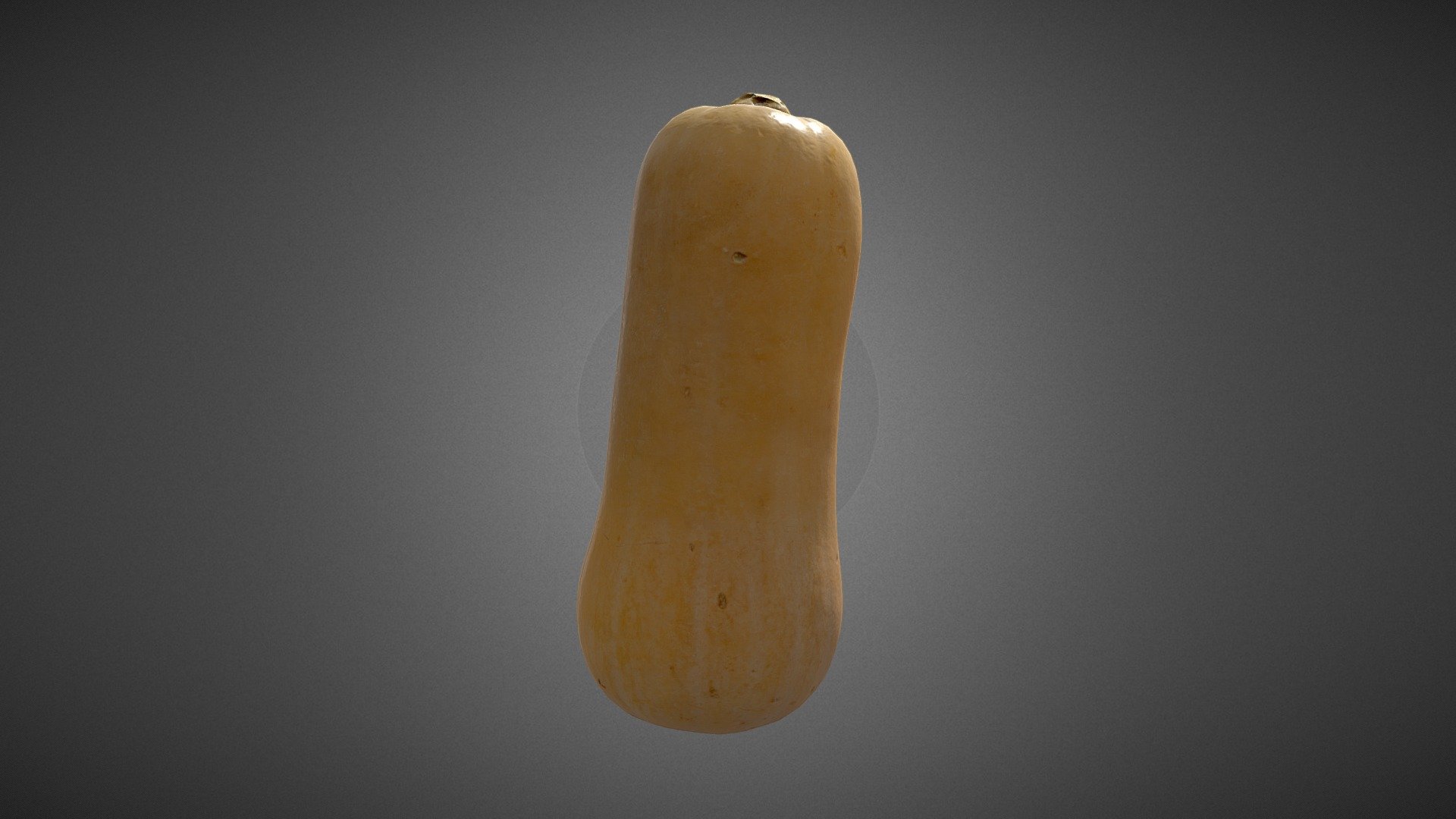 Butternut Squash