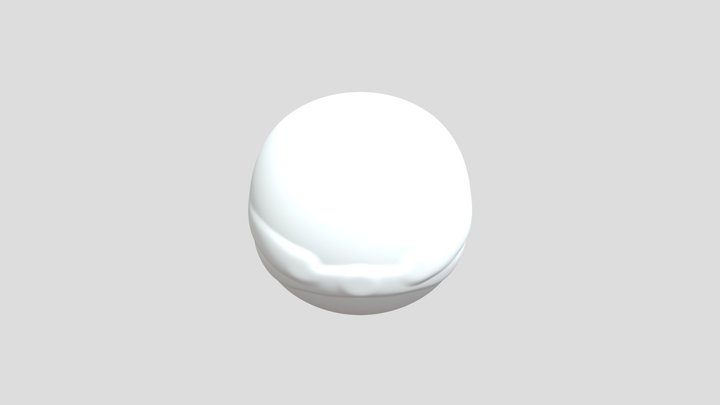 My model 3D Model