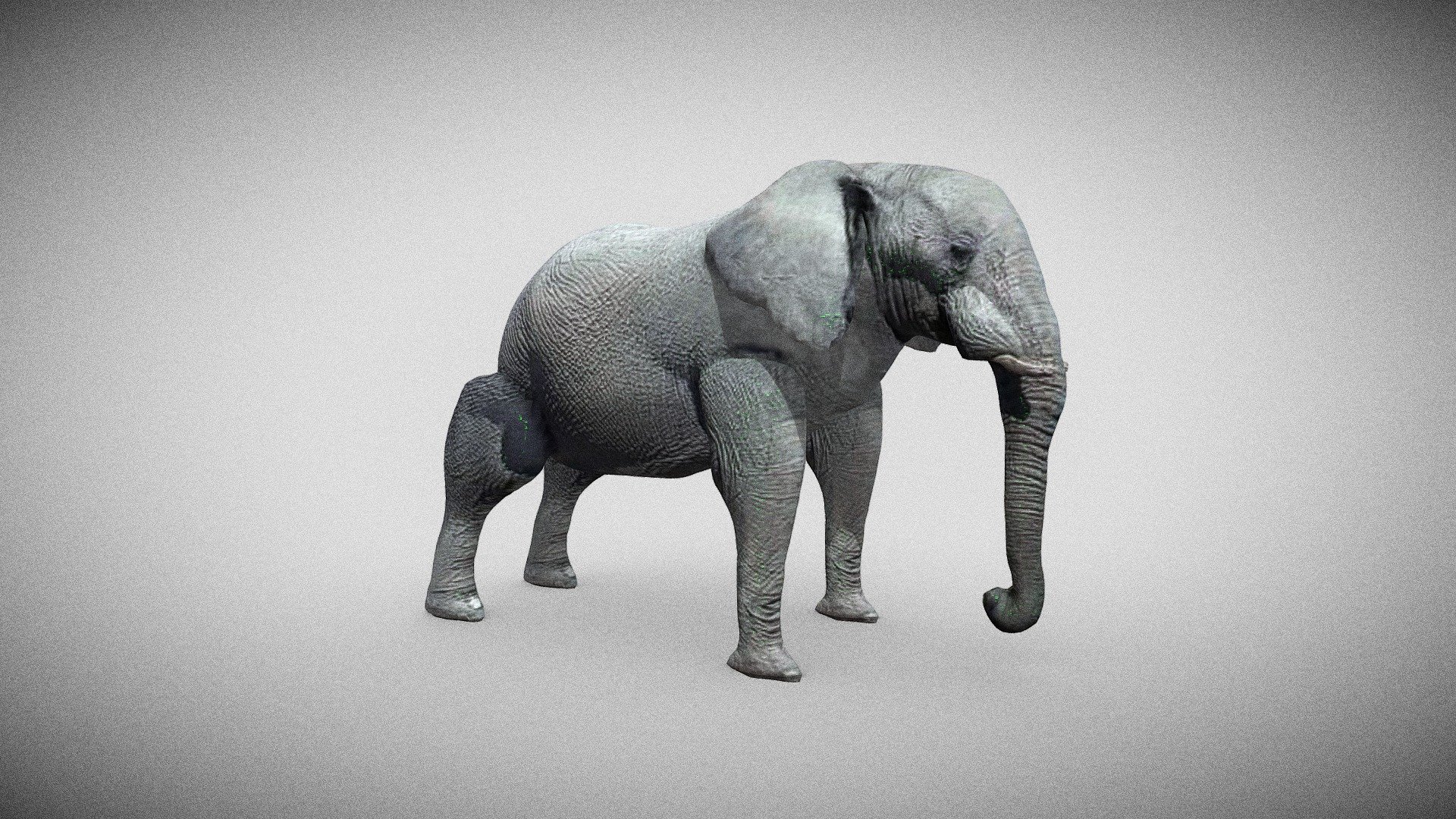 Elefante — Sketchfab embed 3D viewer