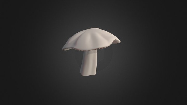 miscaro 3D Model