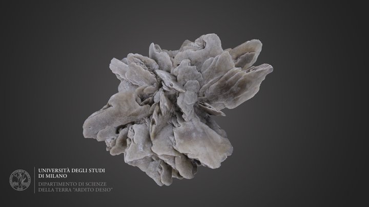 Rosa del deserto (gesso), Algeria 3D Model