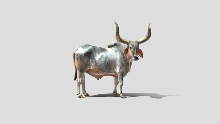 Majestic Horned Bull – Modelo 3D gratuito STL