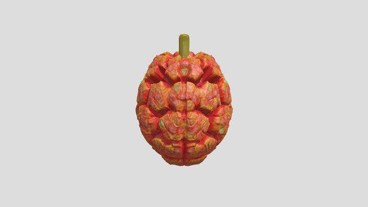 Halafruit Model!!!