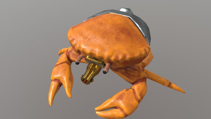 Softshell 3D Model