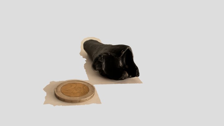 Black bone (from the beach) 3D Model