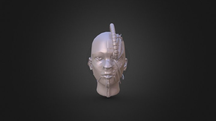 VFX2020_A1_Aaron Rydning 3D Model