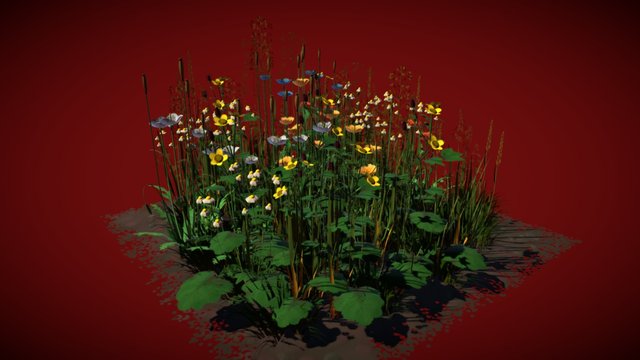 Poppies Model 3D Model
