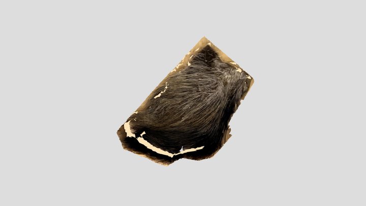 Elk fur 3D Model