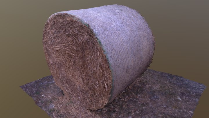 Straw Roll 3D Model