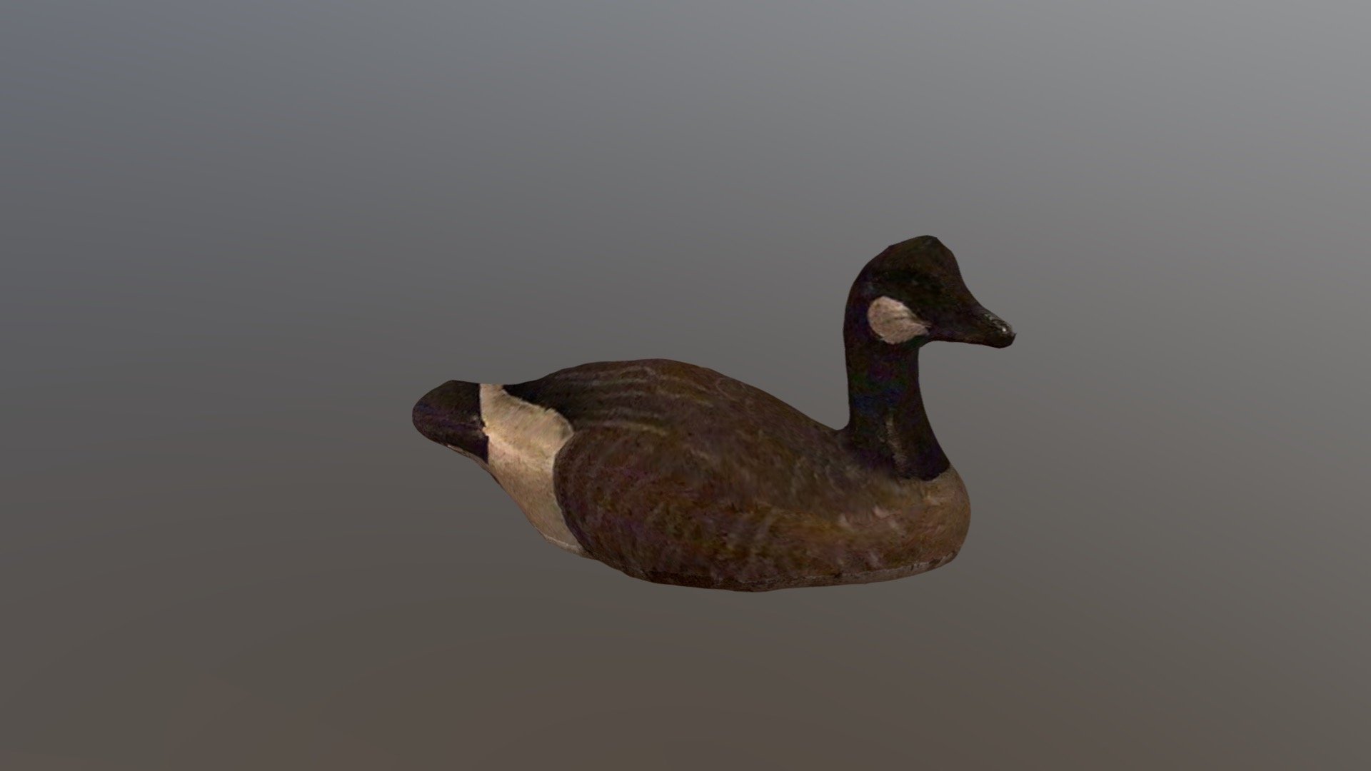 Goose