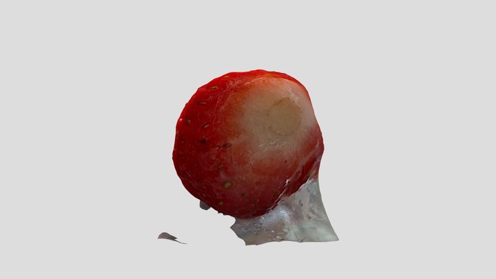 Polycam capture 3D Model
