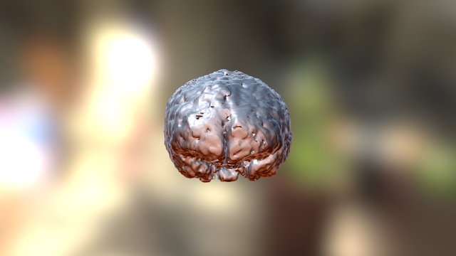 Brain No Post Fosa And Tumor2 3D Model
