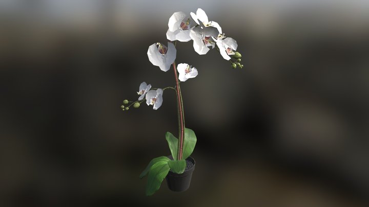 I KEA_FEJKA ORQUIDEA – Modello 3D gratuito STL