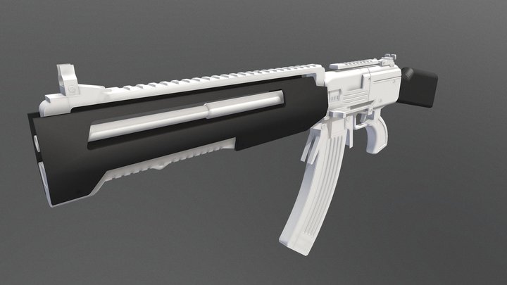 BorderLands2 rifle 3D Model