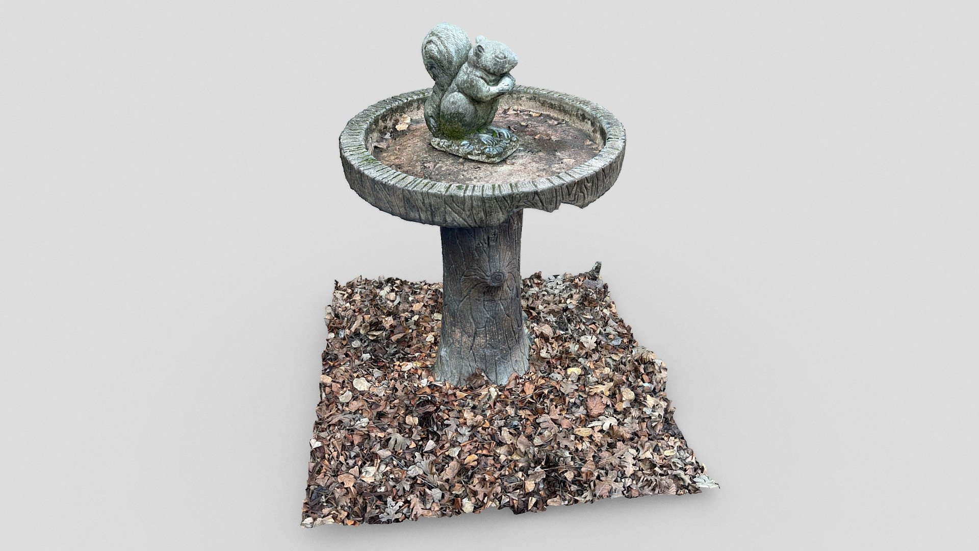 Stone Squirrel