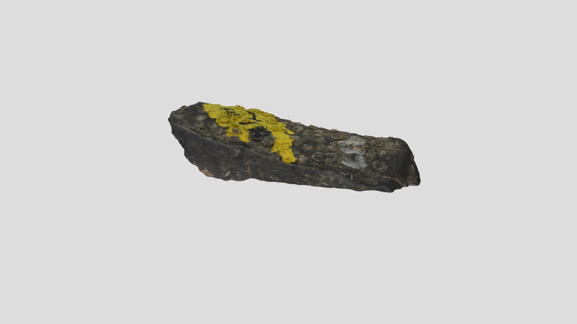 E1