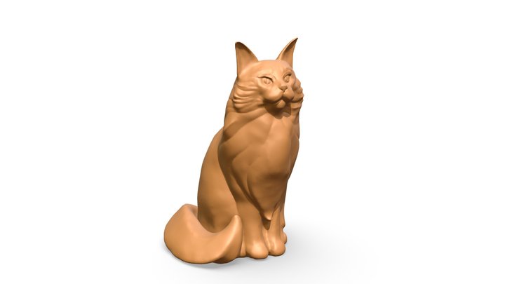 Cat, mainecoon 1 3D Model