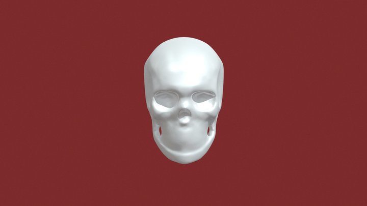 homework3 human skull 3D Model