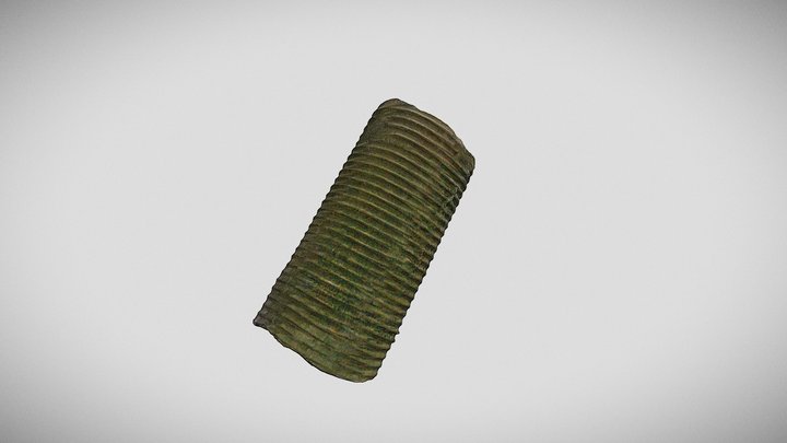 Diplomoceras 3D Model