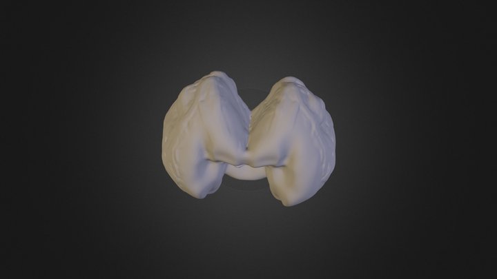 meshy 2 3D Model