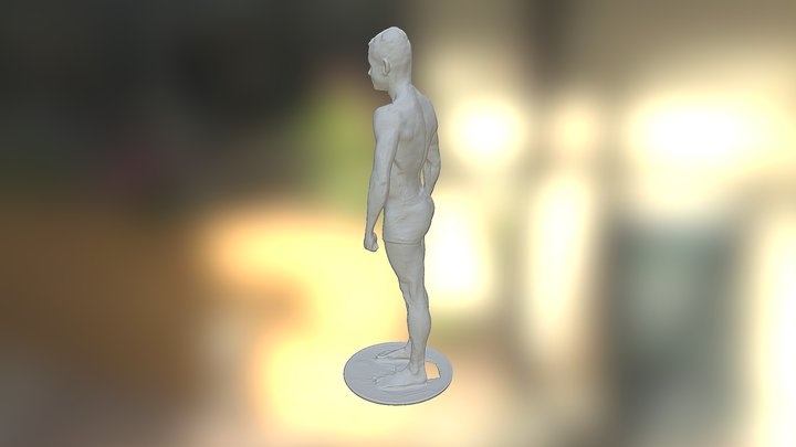 Andy FD4 3D Model