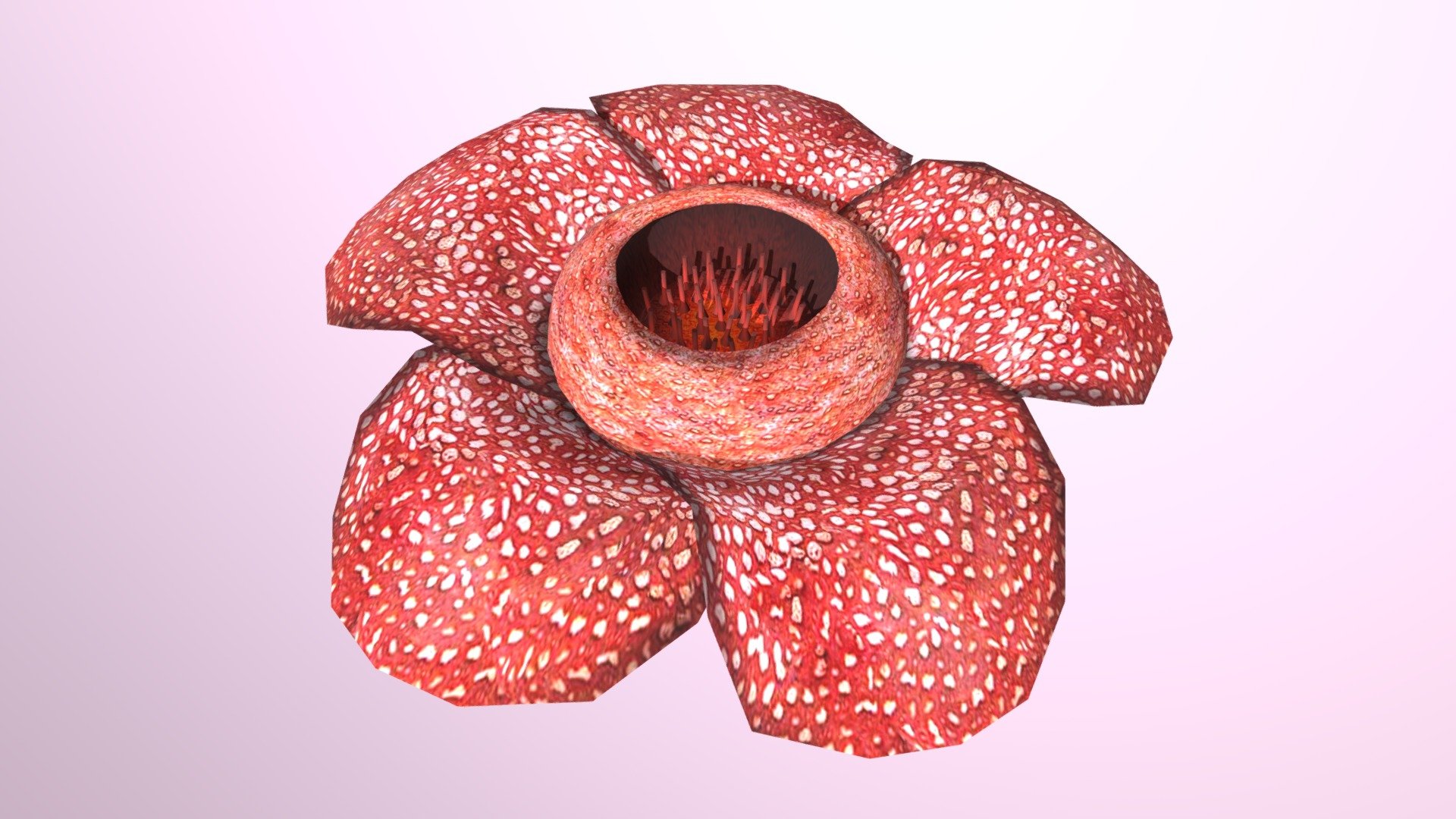 Rafflesia - 3D model by Ink Ribbon (@inkribbon) [2e051b0]