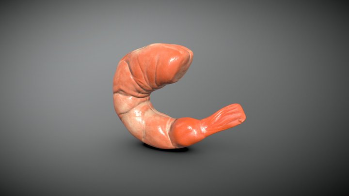 Shrimp 3D Model
