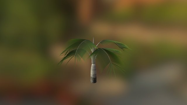 plantas 3D Model