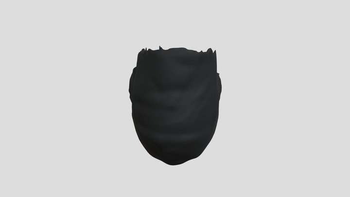 BLOODSLIDE [DICOM_DATA] 3D Model