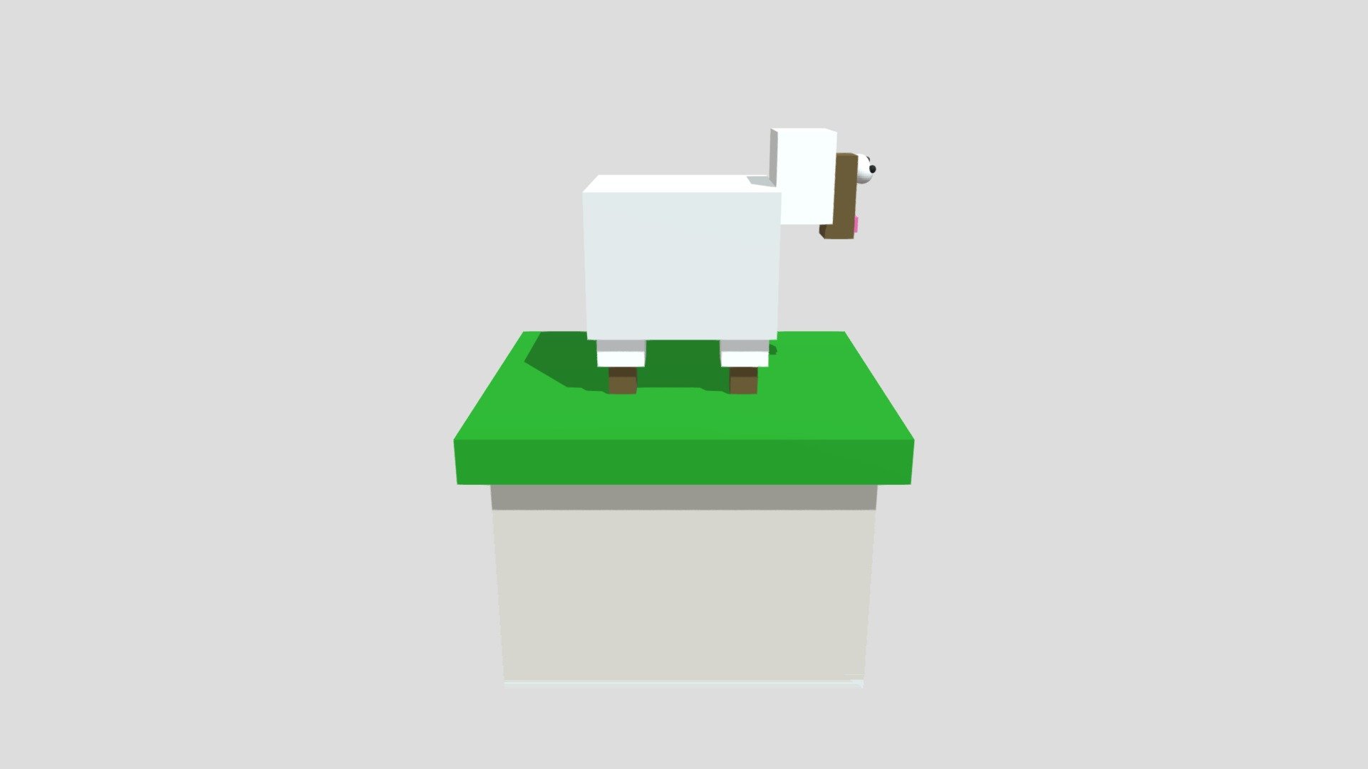 Sheep