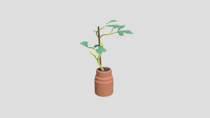 Plant1 3D Model
