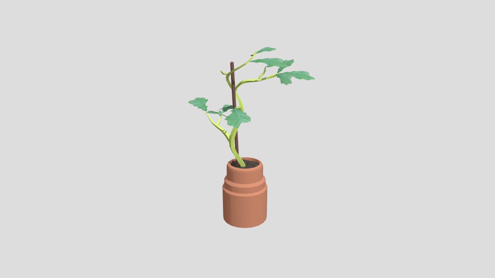 Plant1