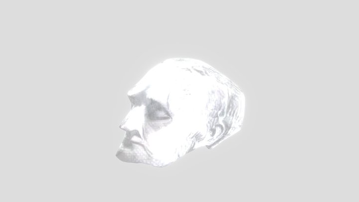 Gauss-totenmaske-ai 3D Model