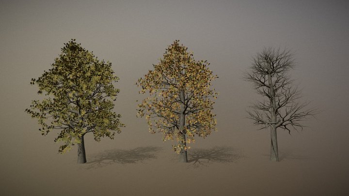 Oak Tree 3D Model