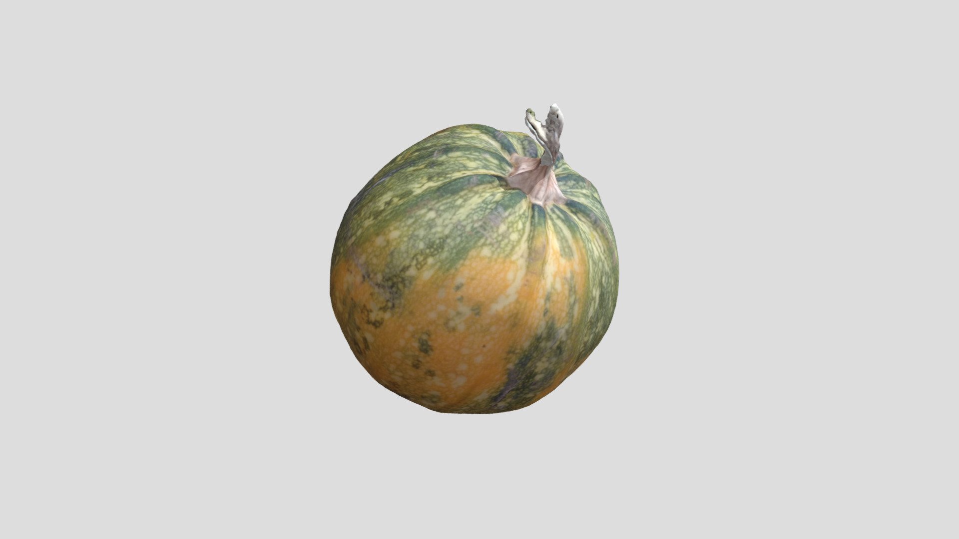 Courge verte