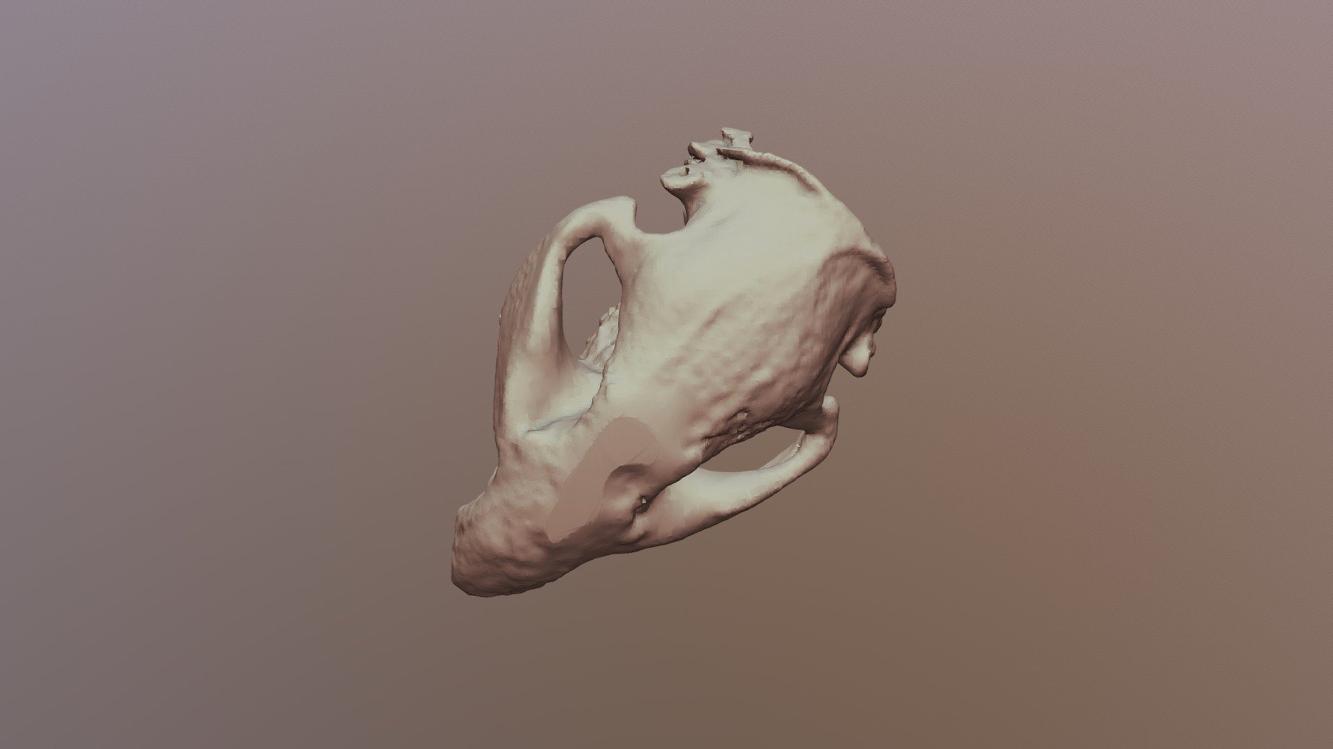 2A-Beaver-BC1830