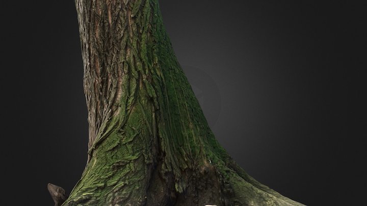 Tree 002 3D Model