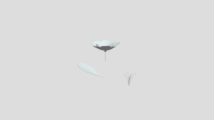 Flower 3D Model
