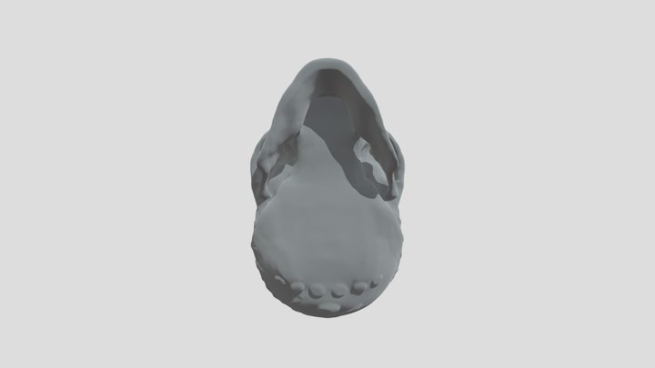 Kirdahy Example Skull 3 3D Model