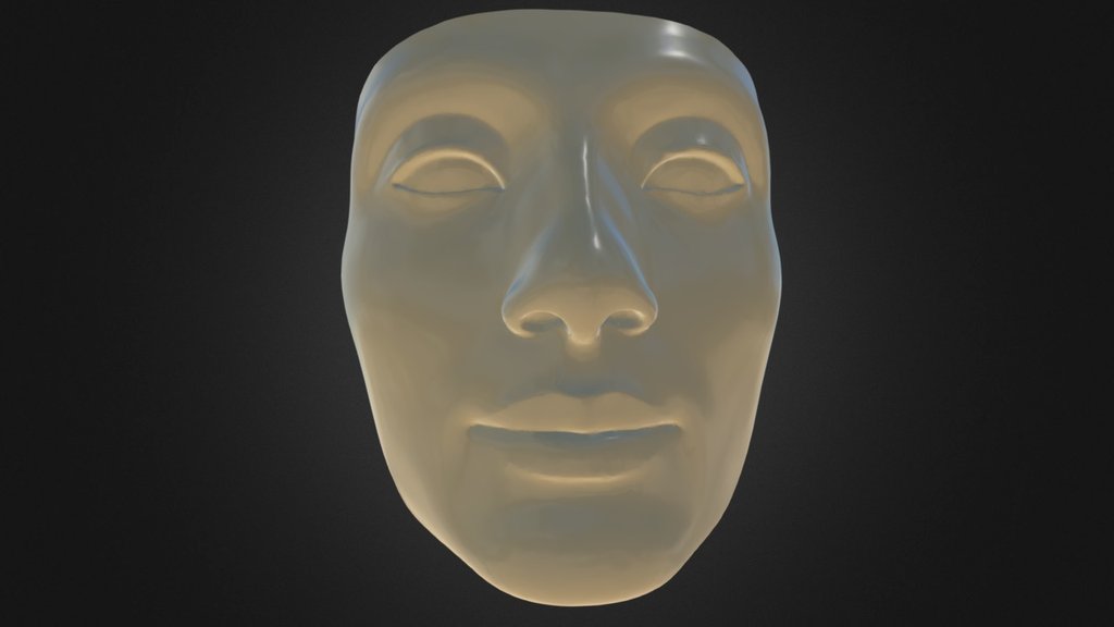 Nefertiti Hack Face