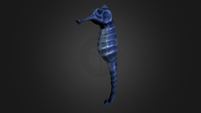 SeaHorse 3D Model