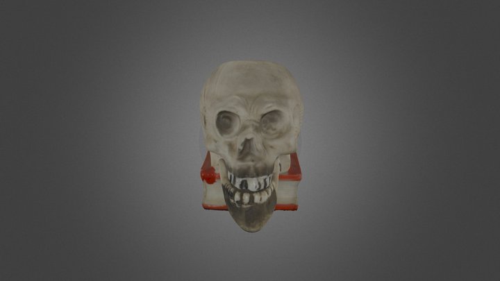 Skull Candle Holder 3D Model