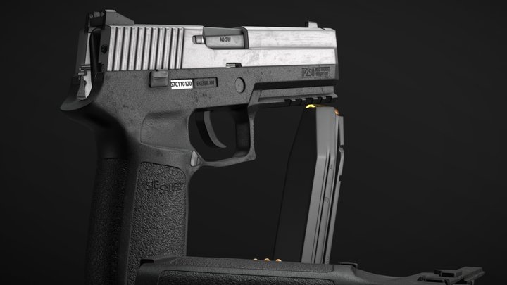 Sig Sauer P250 3D Model