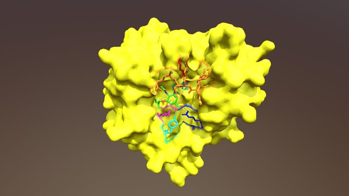 2ht8 3D Model