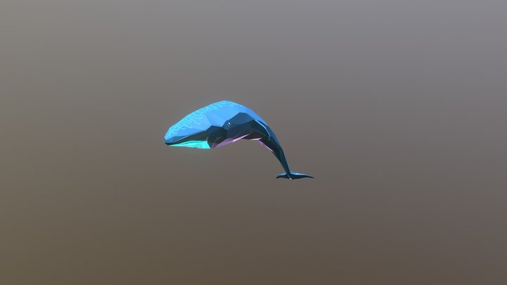 Between Wind & Water - The Whale 3D Model