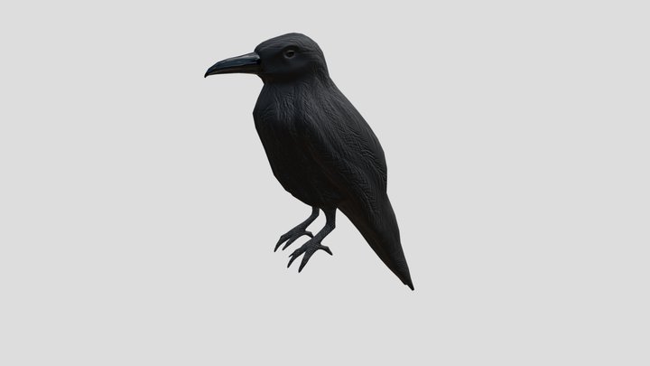 Low Poly Crow 3D Model
